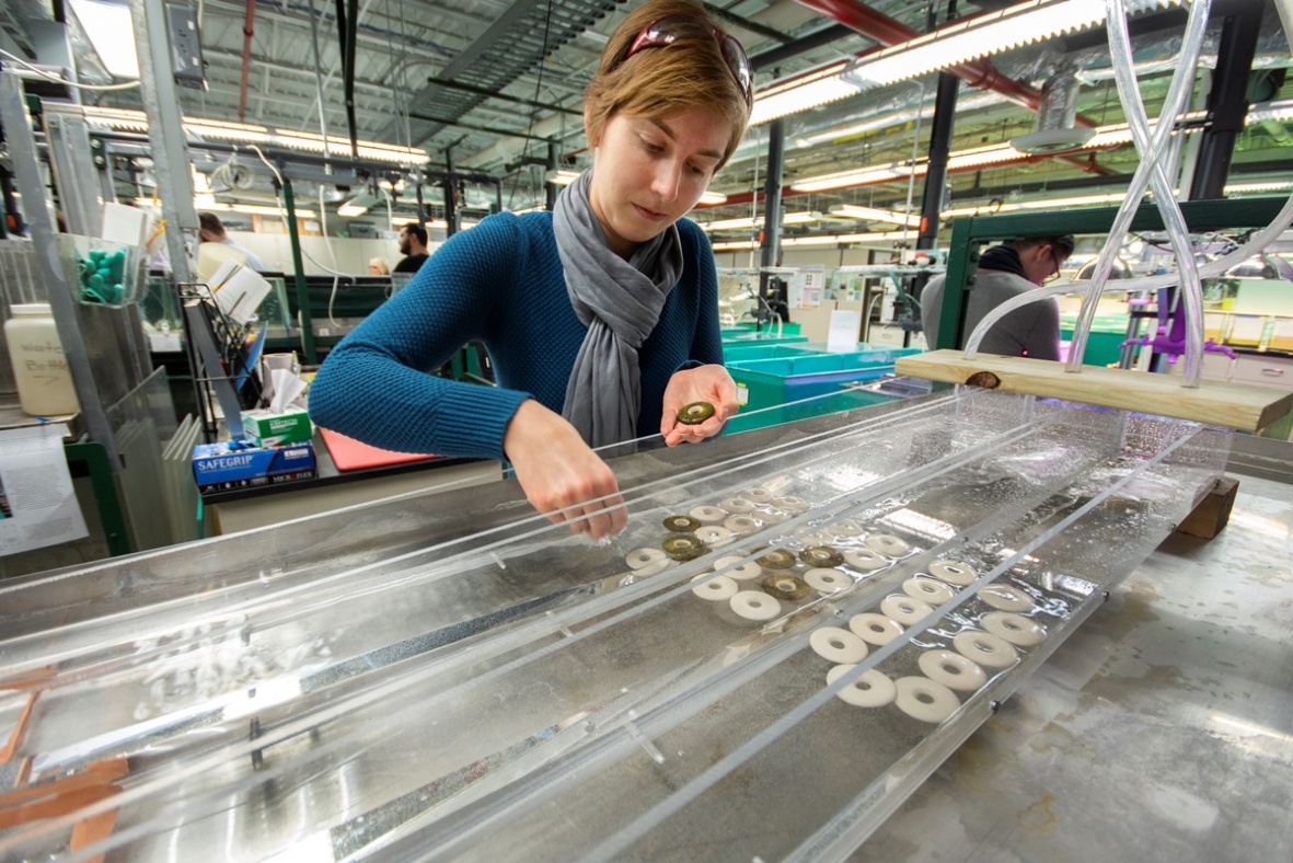 Environmental lab jobs toronto